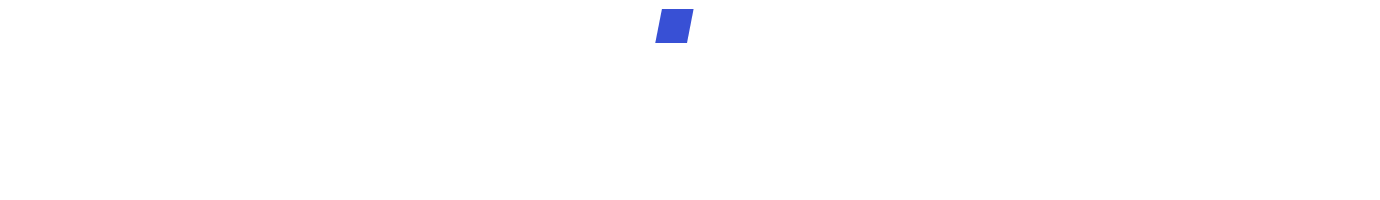 Domainberg Logo